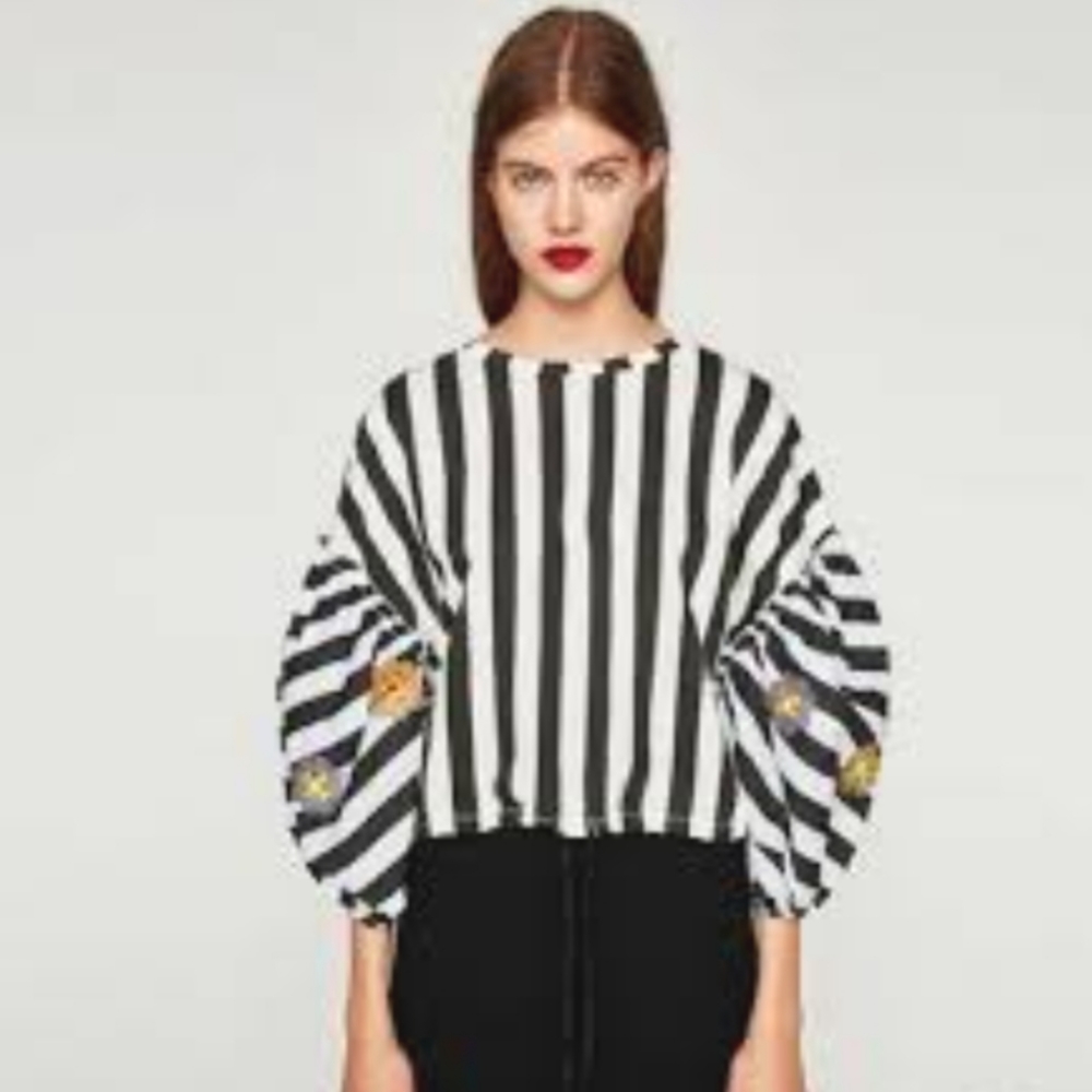 Zara Crop‎ Top Puff Sleeve Striped Embroidered